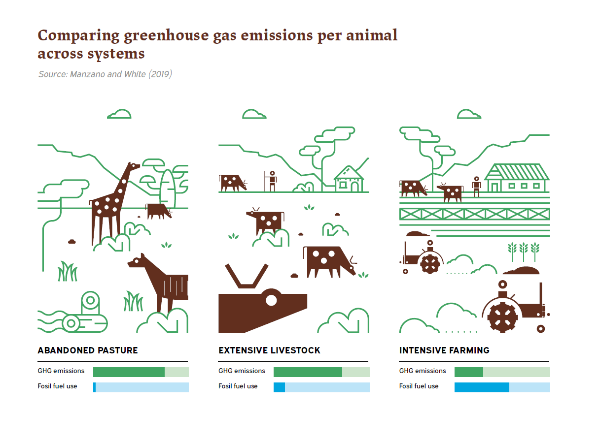 Comparing greenhouse gas emissions per animal across systems Why